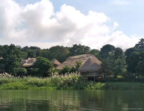 Thatched Embera huts among trees on the riverbank, seen from the water on a panama monkey island tour