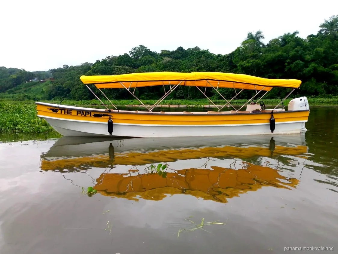 Yellow and white covered tour boat floating on calm water by the jungle shore, panama monkey island safari