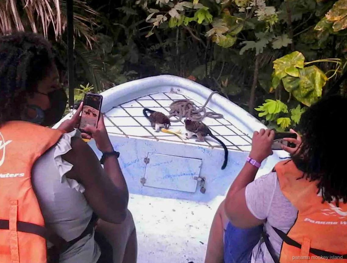 Two small tamarin monkeys on the bow of a boat while visitors take photos on the panama monkey island tour