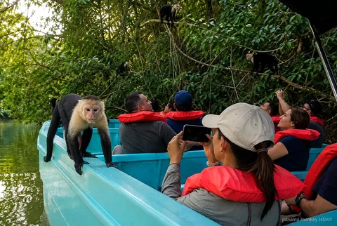 Safari truck and boat combination tour to Monkey Island on the Panama Canal