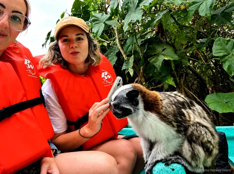 Tamarin monkey perched on a boat rail beside a visitor holding a phone on the panama monkey island safari