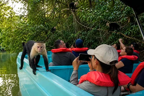 Camión safari y bote combinados hacia la Isla de los Monos en el Canal de Panamá